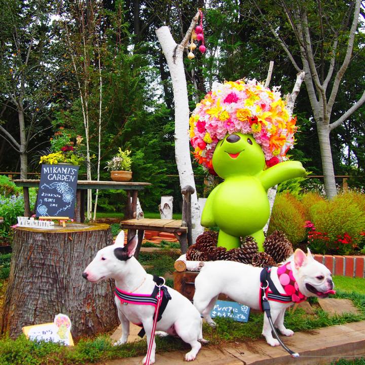 0d378c5a 9bf1 44c6 b463 3cbd6eb46dc5