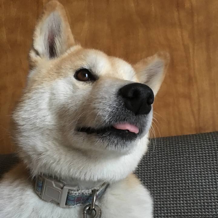 0d381016 8c12 4a62 8ba4 22117f170cd3