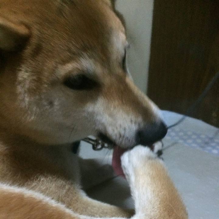 0d3823df 49ba 46e3 a782 5c8bd825112b