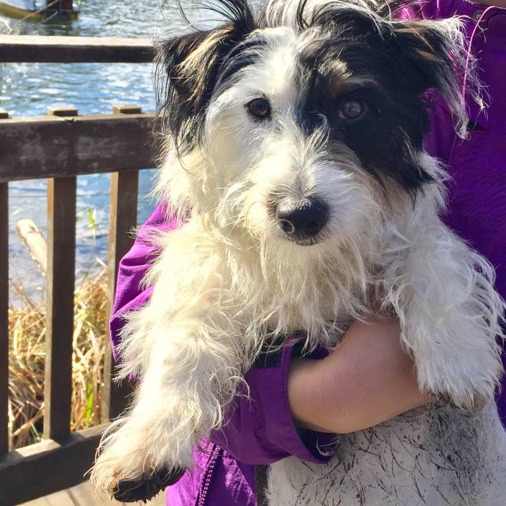 0d3894eb 5d18 4bfa aaee da7e269e57af