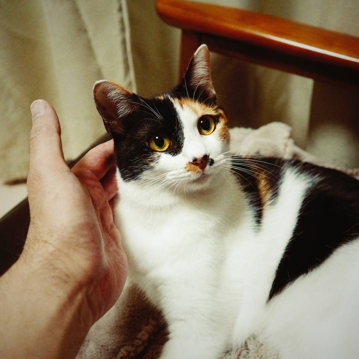 0d3a0be7 1da3 46fc 8fd2 c1ee11b099d5