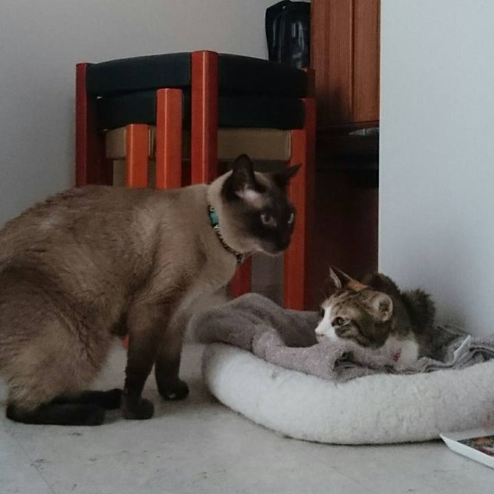 0d3a4a1a 539e 49a5 9a97 a08d17c58f6b