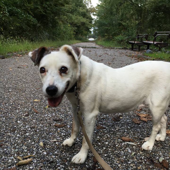 0d3a6033 038b 4821 a277 c5d0f6fe49db