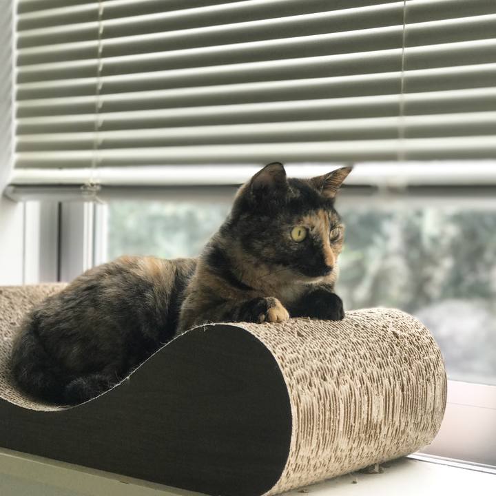 0d3a6b5d 43f2 4d7f bc75 ccad8b342b62