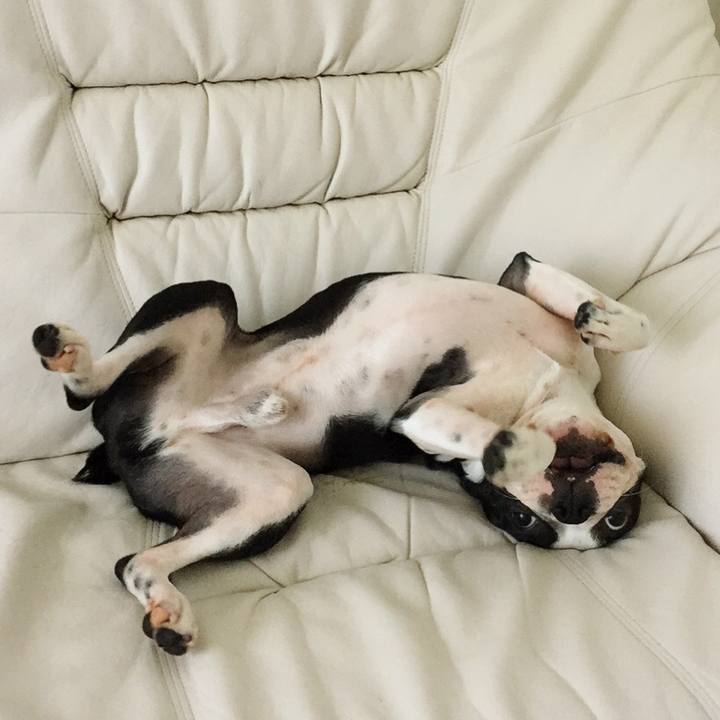 0d3a705e f8ea 4dad 9f96 9ebba23a1e8c