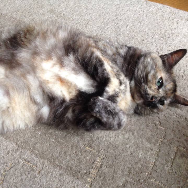 0d3ad1ff aca1 45cb 80d4 63c4b2139837