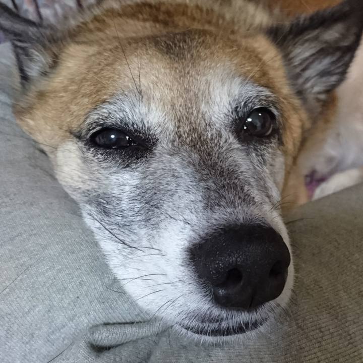 0d3b3798 e7cf 445f 8467 0c84c66399cb