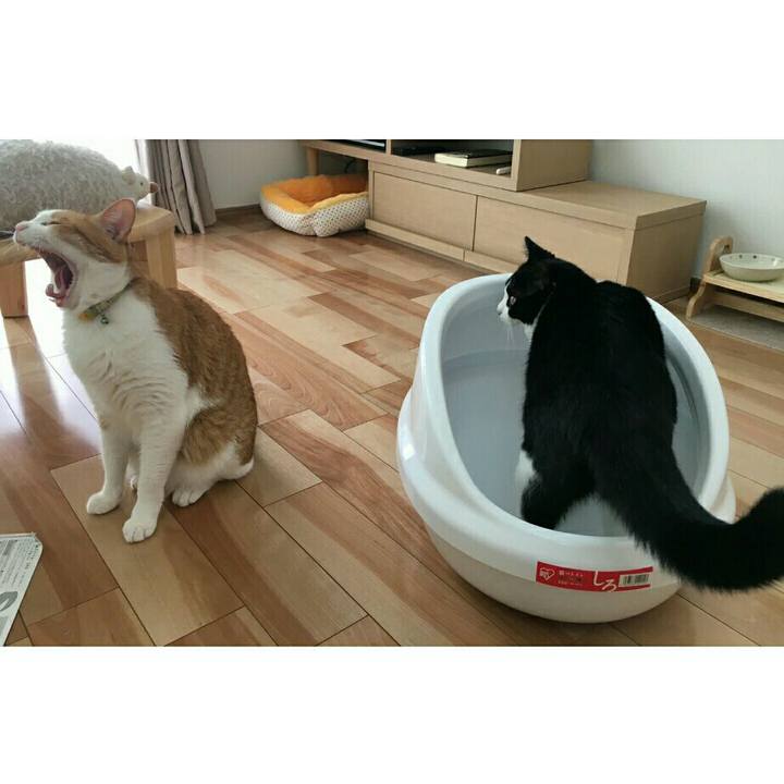 0d3b9849 0a74 4995 b98c 7360f1c3b576