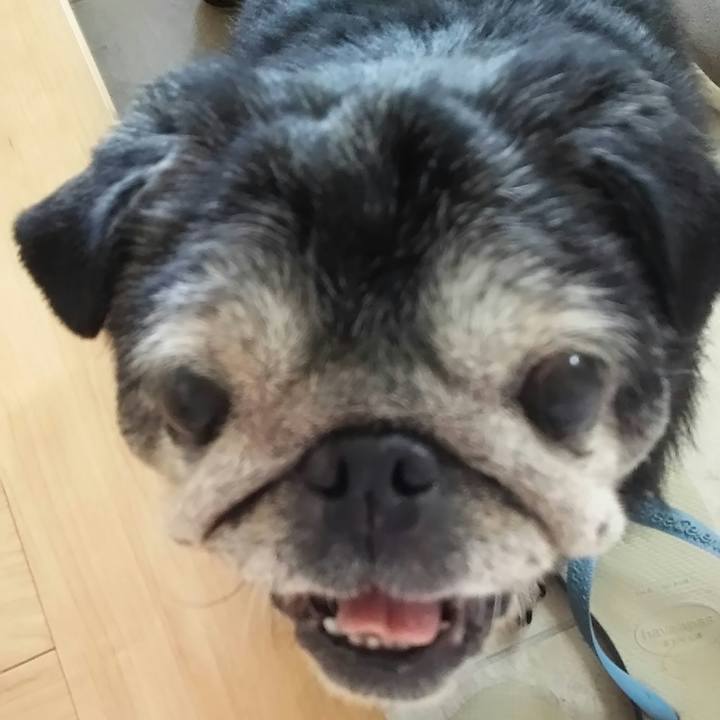 0d3bee90 d594 47b5 8072 5efa76fb3e0b