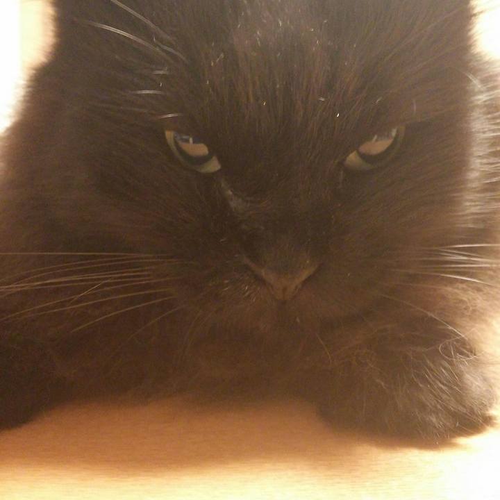 0d3cfbd1 1aa2 493a 9354 283e504ede3e