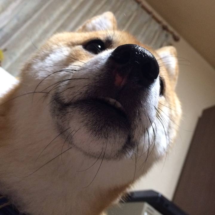 0d3d0656 5abe 40e0 b459 b6e5dc138165