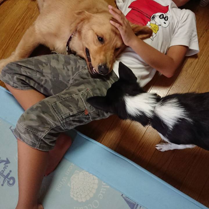 0d3d8924 b6a3 4c9a a0fa 4dc5f9f91151