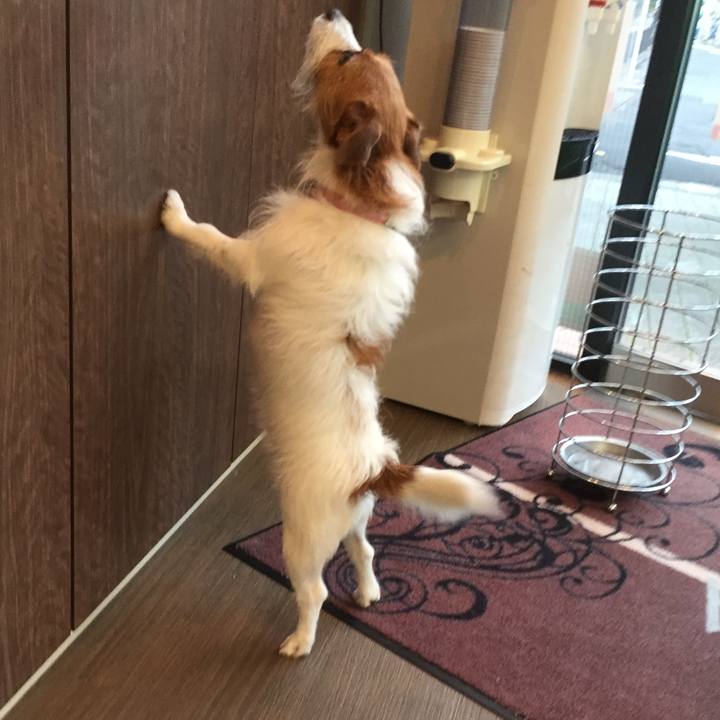 0d3dae46 7c15 4601 be42 f1d6120213a8