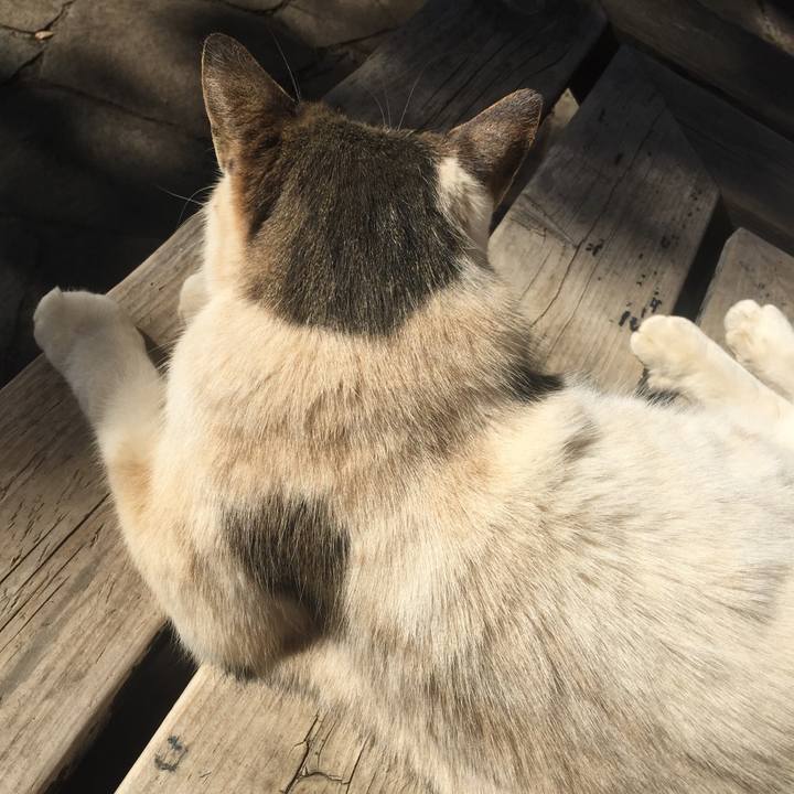 0d3db332 51f7 4af7 abd1 044d9352cb72