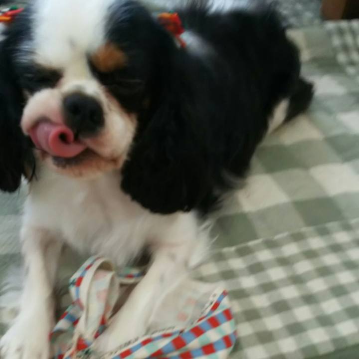 0d3dc40c 621a 4d67 adc0 b7db691fa68c