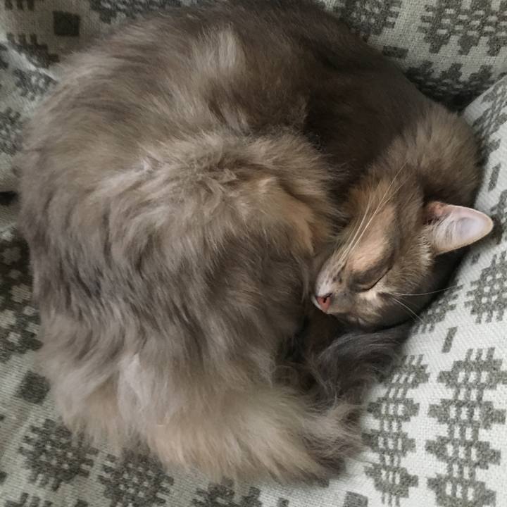 0d3dc4ac 959a 4046 b2a3 3eb30e8acafc