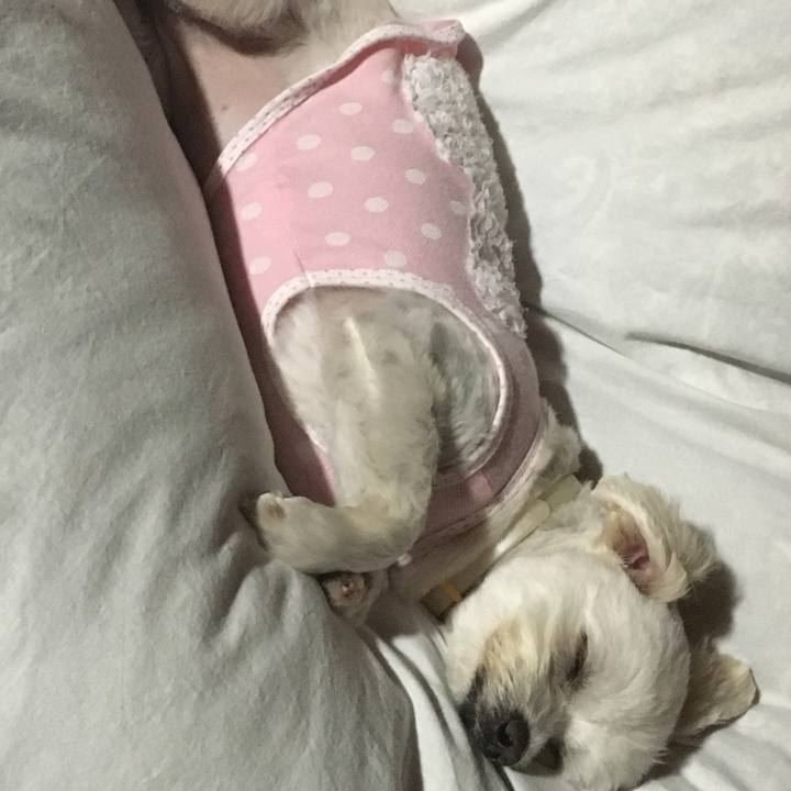 0d3e90c1 fbf0 4e26 9f56 9fe04643edf0