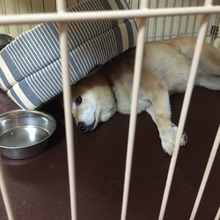 0d3faa98 346a 42cf a287 2e9598a7bb86