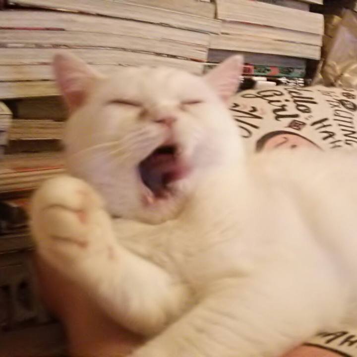 0d403c3b c2f0 464f 830a 7501298590c1