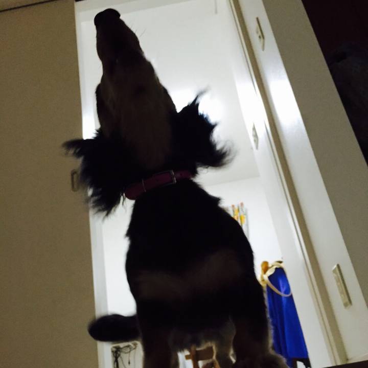 0d405b8d 2e05 4785 aa63 81f9216a7d60