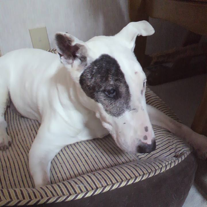 0d411372 636f 4f0d a4b0 b9dcb86b181d