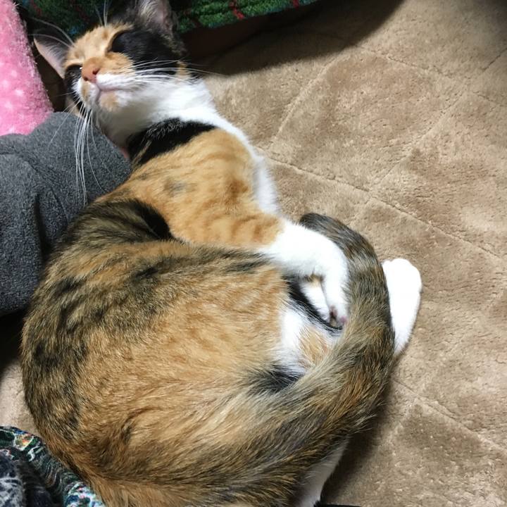 0d413604 32eb 4b65 9eb8 ce81f449b3c3