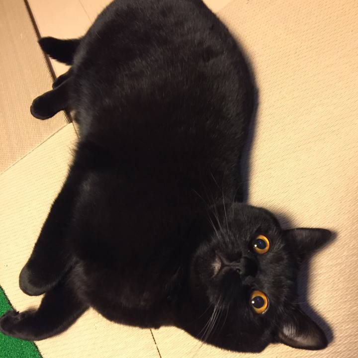 0d41798c c0bf 4107 bd80 579ba3ffd408