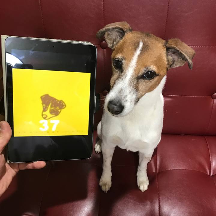 0d417ee5 df1e 4f12 9618 021ede707ef0