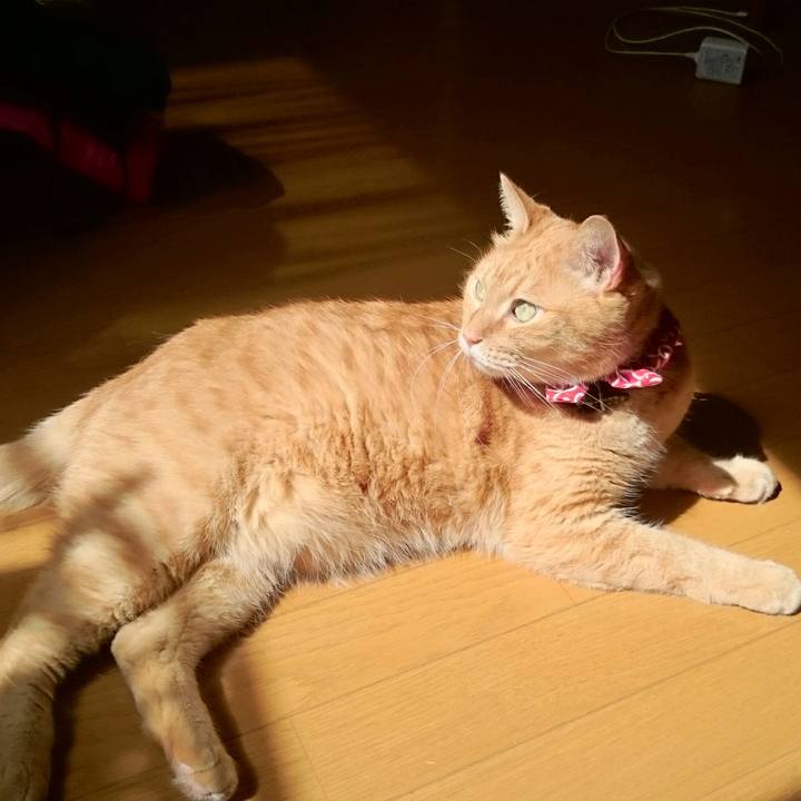 0d41af68 e9c7 4b66 9389 cba227fecfe5