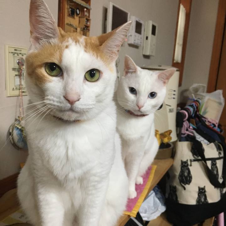 0d41fd28 d3d0 4223 b029 6f1ed35e5622