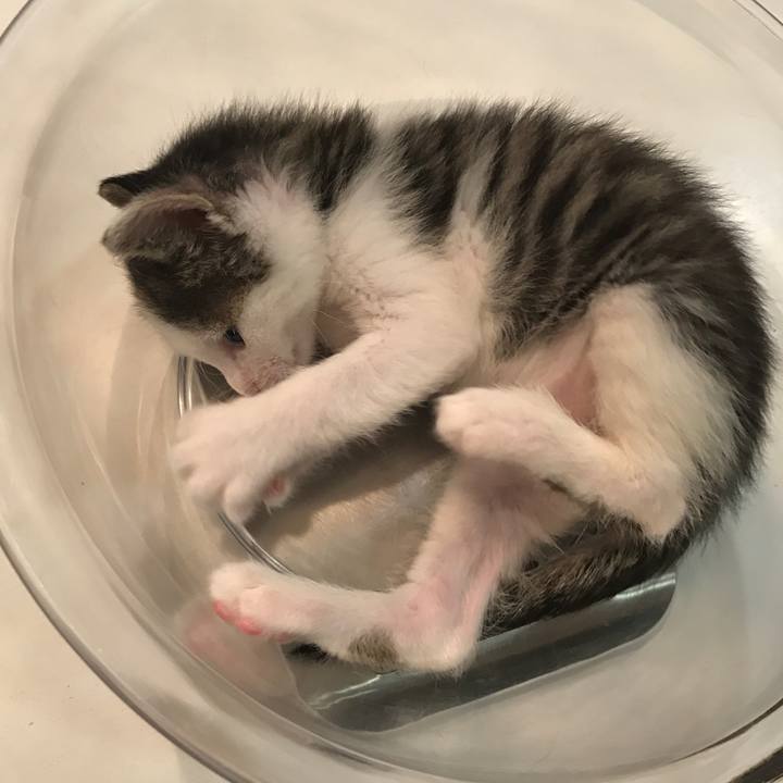 0d41ffb1 812a 4956 b60a 82ab9521b069