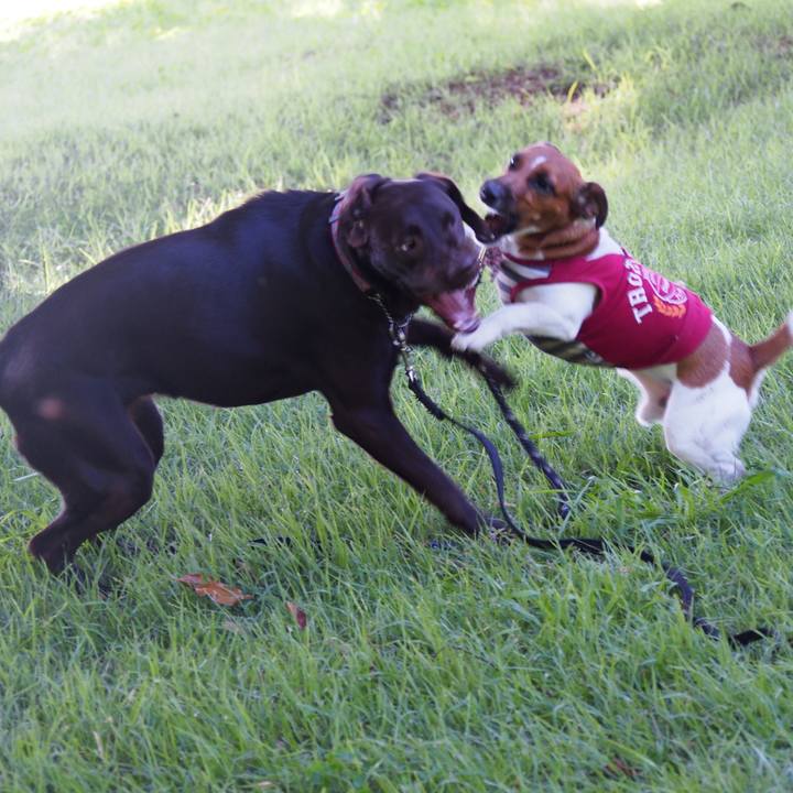 0d438c88 4c95 4b16 8824 f26ce0366a74