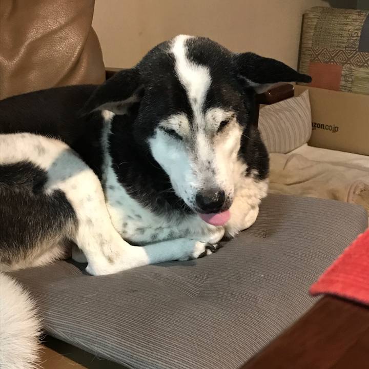 0d4513b8 702c 44b0 b007 3660770b25a6