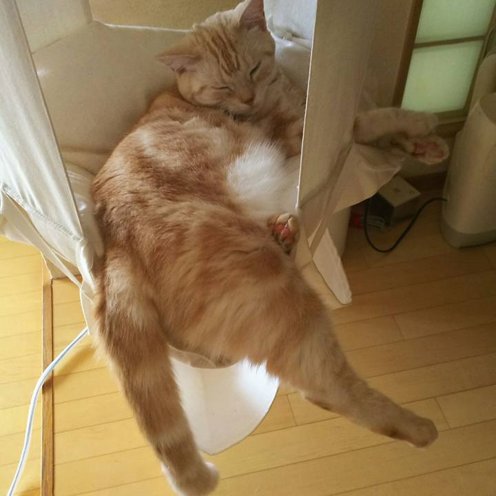 0d452003 c4aa 46a6 b1ce 94a118a6396a