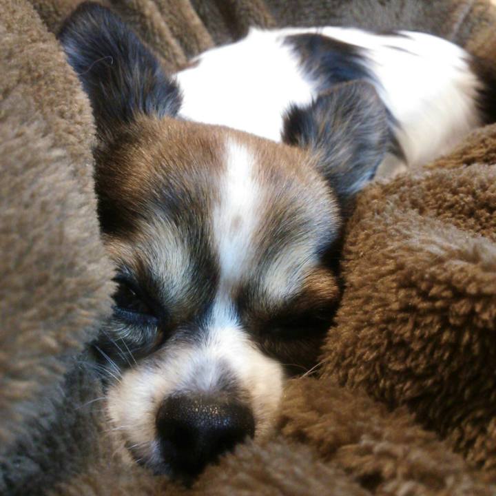 0d458cc5 5da6 49c9 b298 5886edede5d6