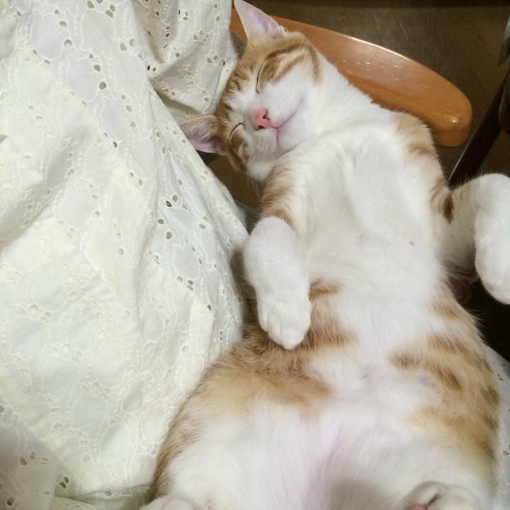 0d460a4f af56 4fe3 a6e3 48185af3ba72