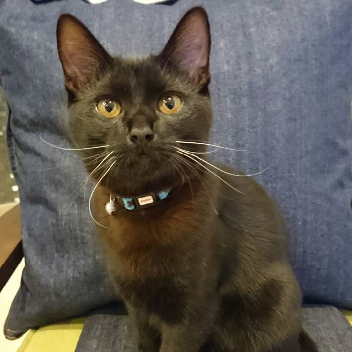 0d46653e dcd0 42d0 aafb fb026f6ef204