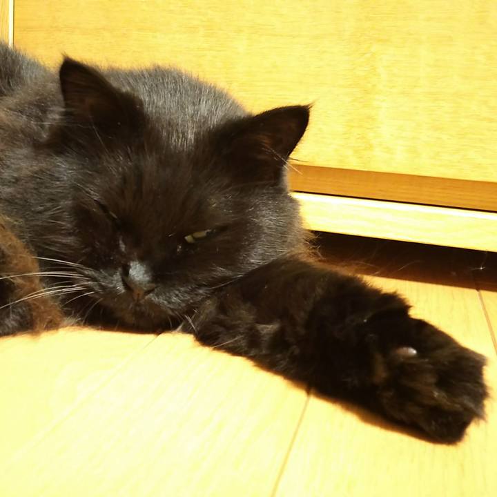 0d468f73 1396 44c5 821c 7774dadf4c87