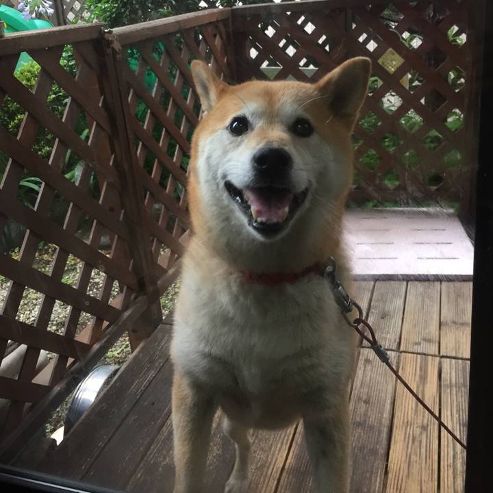 0d47c79a a4cf 4575 be84 bc4c68a8d676