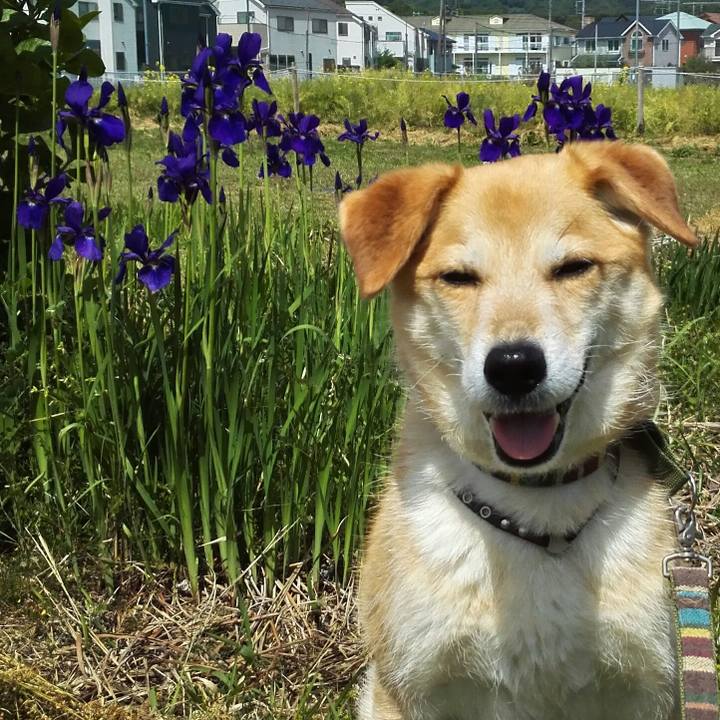 0d483435 669c 4477 ab93 71c507baa2ba