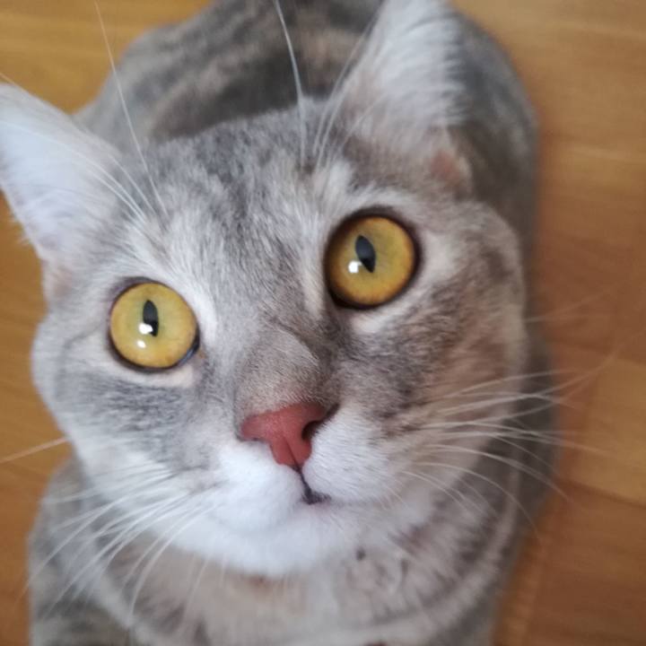 0d493690 69e4 4fee 8278 c760eeb75d9a