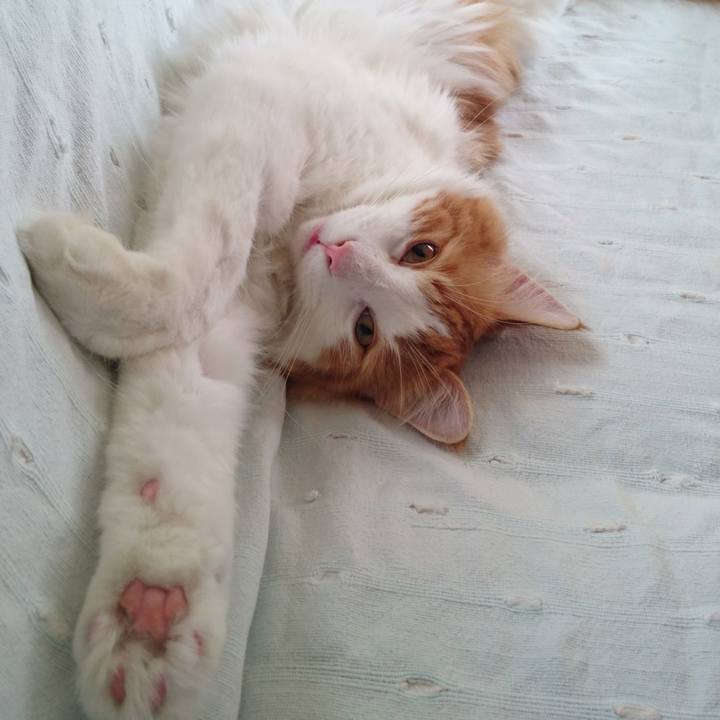 0d497203 6cf2 407a a8e8 11fa5b440f7c