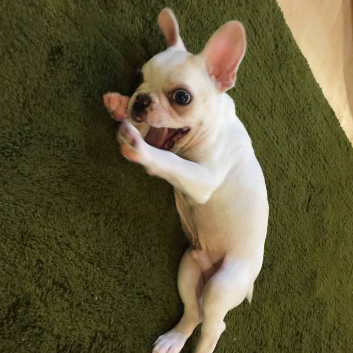 0d49d685 5a00 434d a511 663de1ec0186