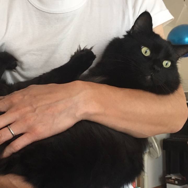 0d4aafd5 bfef 46f5 a542 8ce7dca5cb17