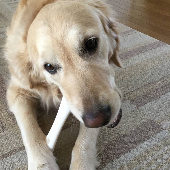 0d4b2bbe 83ee 42d2 a678 4421931acf9a