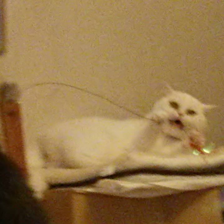 0d4bc370 f1ff 47b9 9fd6 3dc5d9130e94