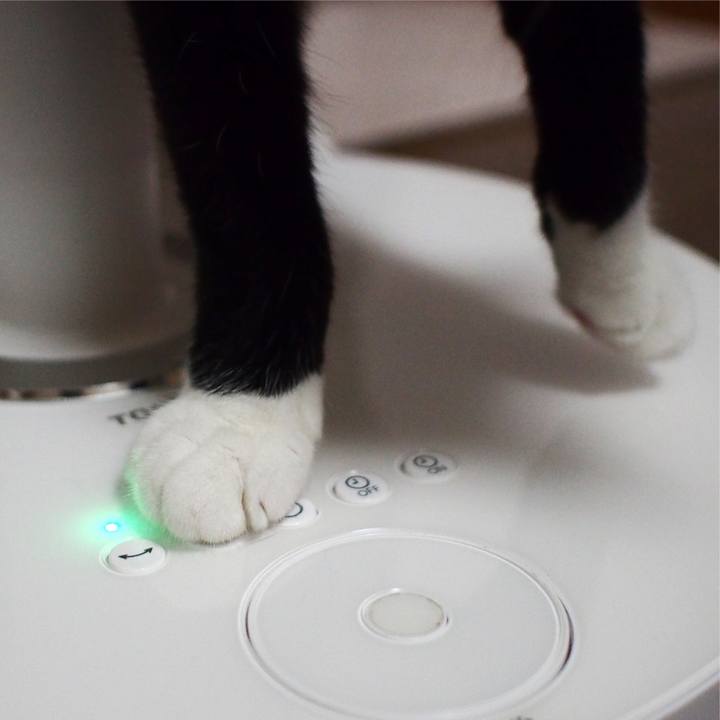 0d4c73ad 8606 4e56 855a 84d627f26e12