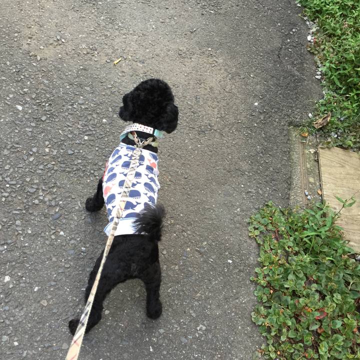 0d4c9f64 3543 431c b585 e138554aac2f