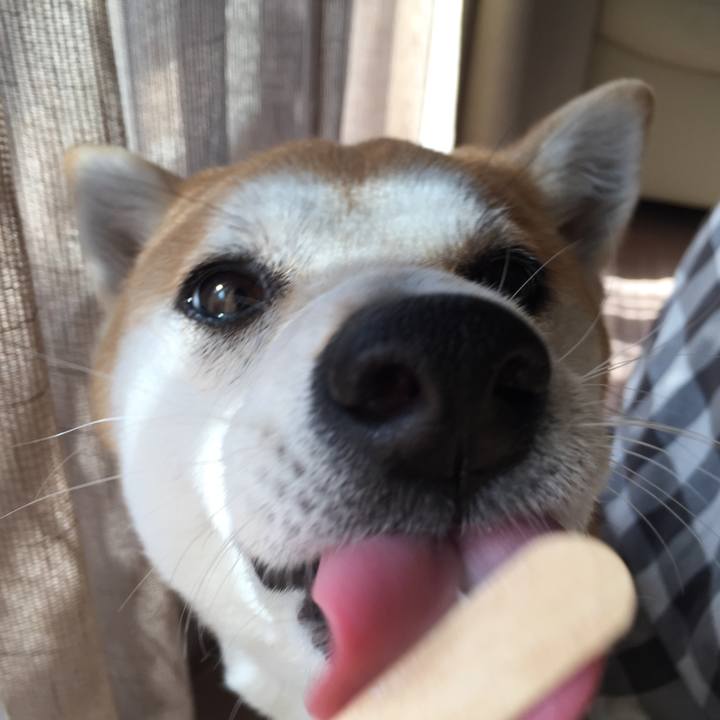 0d4ced2d 8ebb 4c14 849e 9093e6886fbe