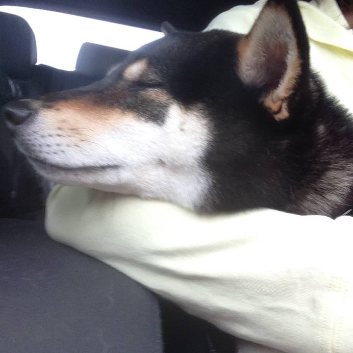 0d4cfeee 4976 48fc b26d f228bbb28066